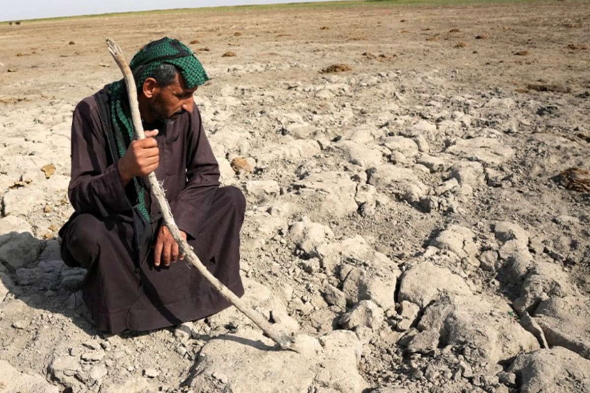 Los pantanos de la Mesopotamia se secaron por venganza política, los recuperaron y ahora pueden desaparecer por la falta de lluvias