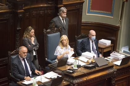Los parlamentarios en medio del debate por la reforma jubilatoria