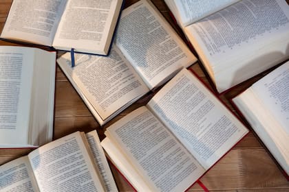 Los participantes debían leer al menos 10 libros o acumular 10 horas de lectura durante el verano