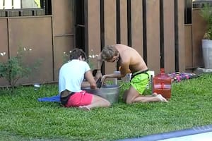 Los participantes debieron bañar a Mora y Caramelo (Captura video)
