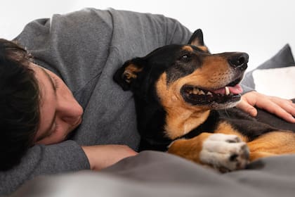 Los participantes relacionaron el temor con medidas preventivas, como llevar a la mascota a otra habitación