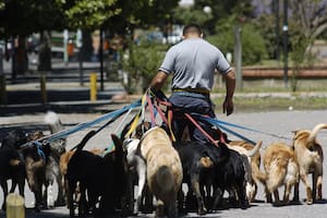 Cuáles son los barrios con más caca de perro en las veredas