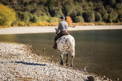 Los paseos a caballo son otra opción para internarse en el bosque a ritmo manso.