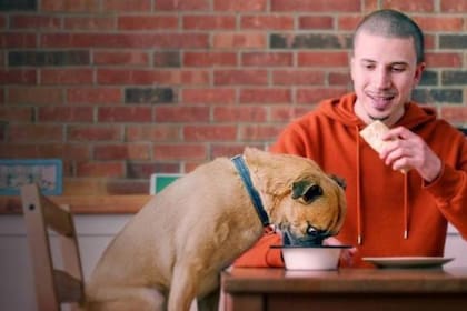 Los paseos de Bruno llegó a Netflix en 2019