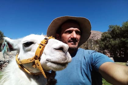 Los paseos de Caravana de Llamas son una de las propuestas turísticas típicas de Tilcara, que en tiempos de pandemia, se están reconvirtiendo