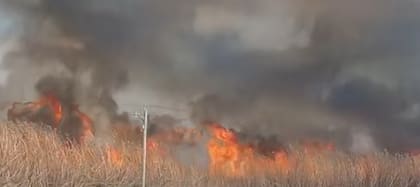 Los pastizales también fueron foco de incendios