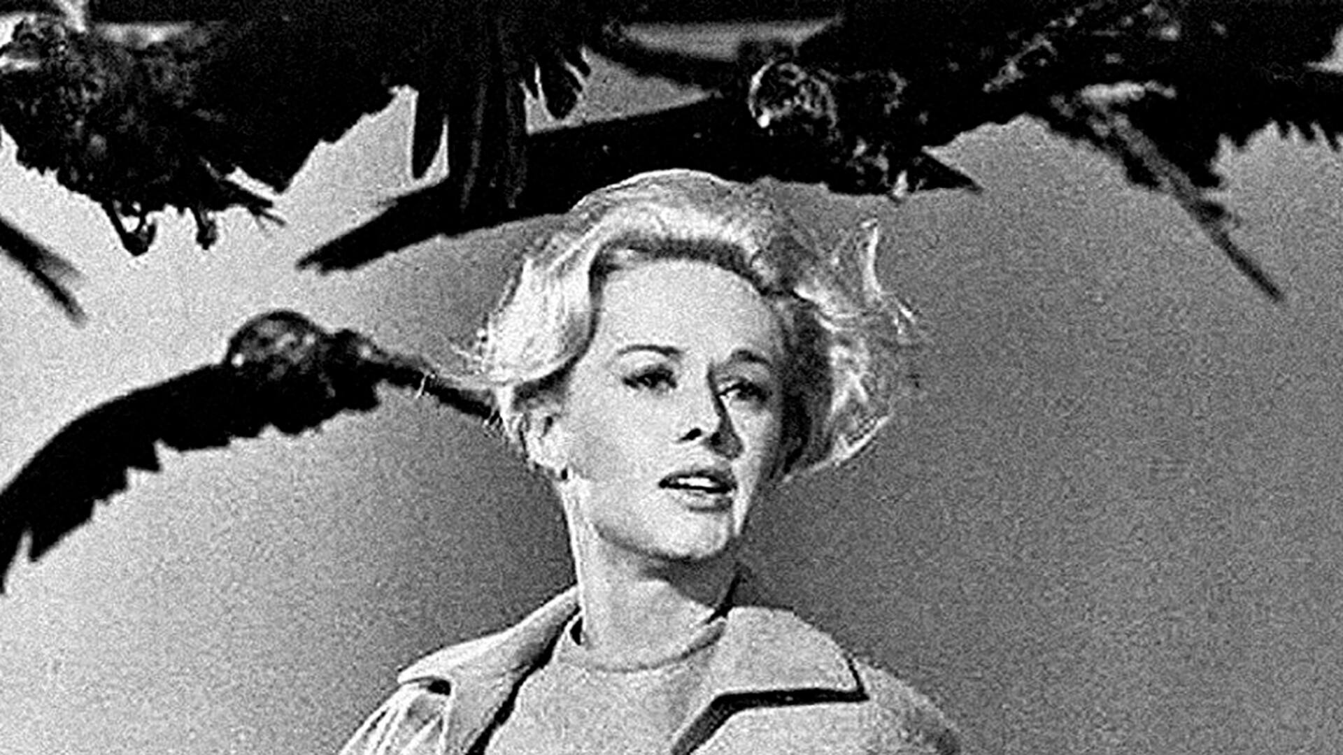 Los pájaros. La nobleza del miedo, filmada por Hitchcock