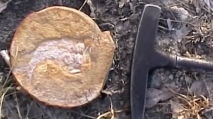 Los peces se encontraban perfectamente conservados en rocas halladas en la región de Kimberley en Australia Occidental