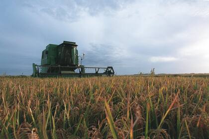 Los pequeños y medianos productores no pueden pagar los altos costos energéticos