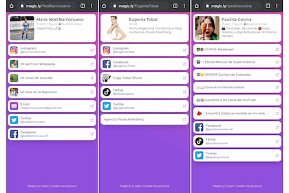 Los perfiles de Magic.ly son muy sencillos y están pensados para verse en cualquier dispositivo