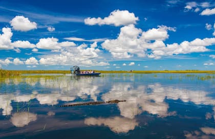 Los peritos detectaron que la niña todavía se encontraba con vida cuando fue atacada por los caimanes en los Everglades