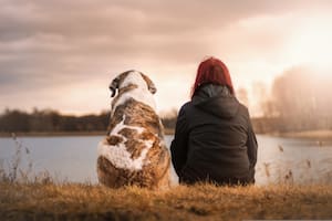 Los perros acompañan a los humanos hace más de quince mil años