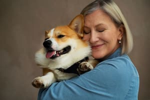 Los perros adultos pierden masa muscular, tienen menos resistencia a las infecciones y suelen desarrollar artrosis