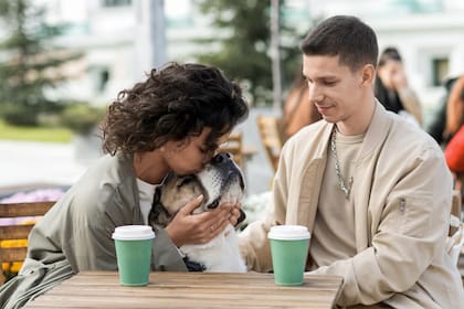 Los perros de apoyo emocional no tienen los mismos derechos de acceso que los de servicio