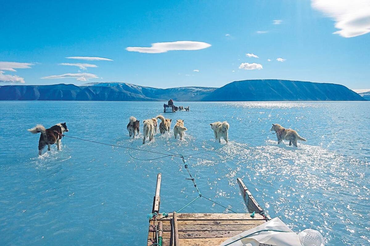 Los perros del trineo de Olsen corren sobre una zona de hielo derretido en Groenlandia