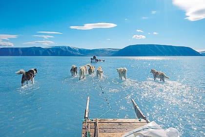 Los perros del trineo de Olsen corren sobre una zona de hielo derretido en Groenlandia