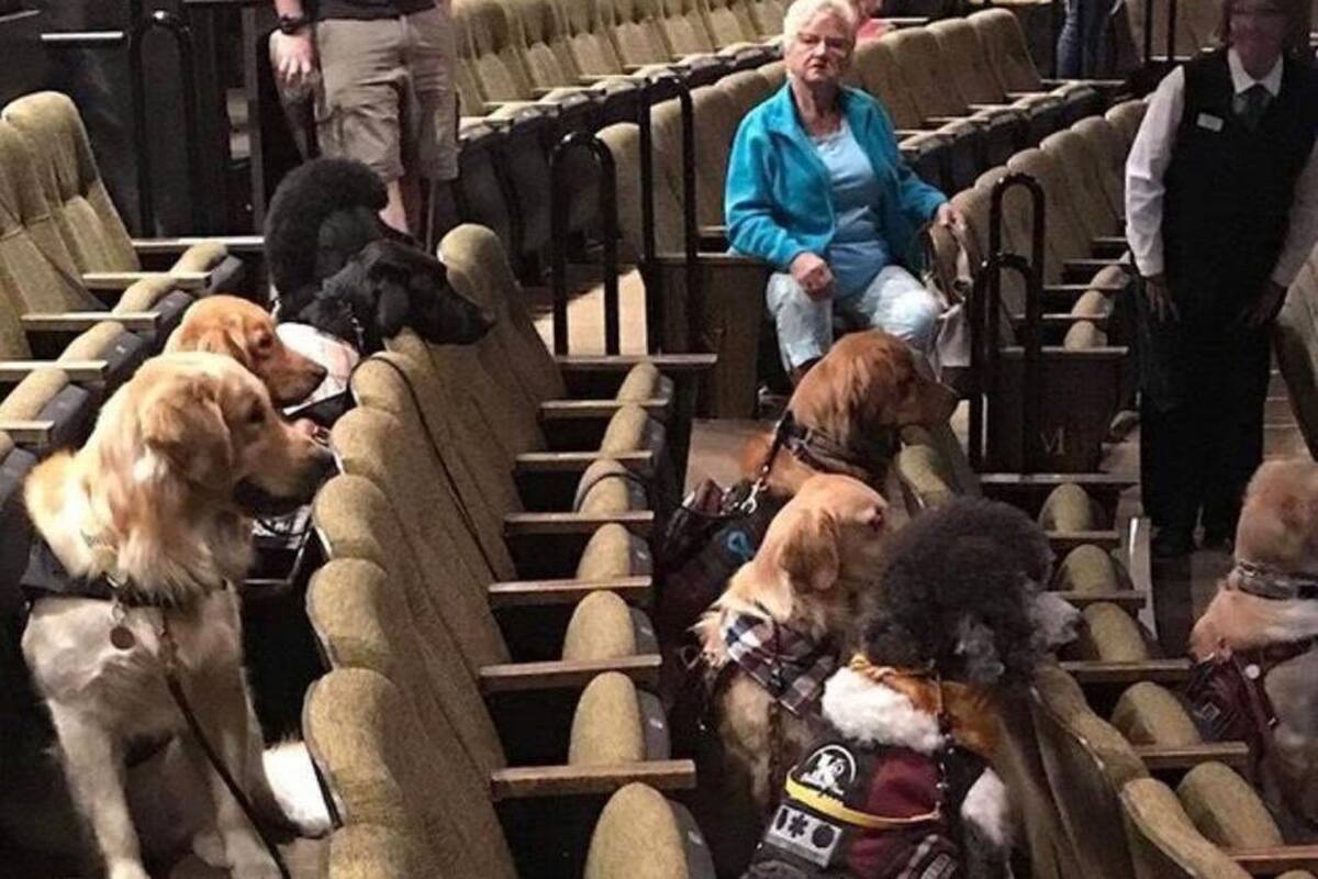 Los perros durante la función del clásico musical