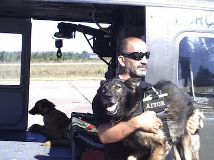 Los perros llegarán con el personal con el que trabajan en las misiones de rescate