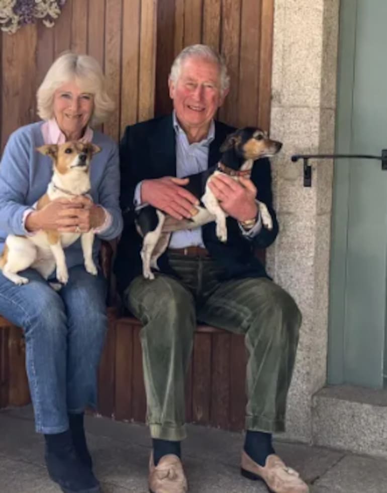 Los perros ocupan un lugar visible en la vida cotidiana de Carlos y Camilla, aunque ninguno de los actuales pertenece a la raza que hoy está en discusión