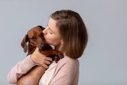 Los perros priorizan las experiencias que ellos mismos consideran gratificantes