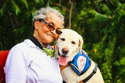 Los perros pueden contraer infecciones antes que los humanos y esto serviría de advertencia para nuestra propia salud