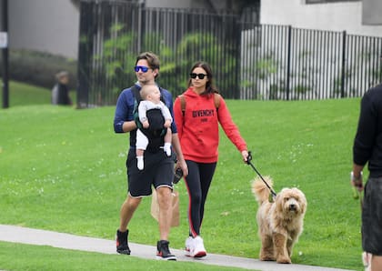 Los perros que Bradley Cooper rescató de la muerte y aparecieron en una película: ¿De qué raza son?