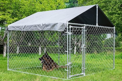 Los perros que requieren caniles son aquellos que no pueden estar sueltos, por diversos motivos