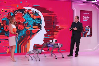 Los perros robots fueron creados por Big Dipper Technology, empresa argentina con 20 años de vigencia en el mercado