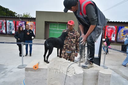 Los perros son staff en la Bienal Internacional de Escultura del Chaco 2026; algunos tienen chaleco identificatorio, otros retozan entre las esculturas