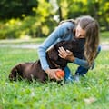 Veterinarios coinciden: el amor de un perro no se mide por cuánto interactúa con su dueño, sino por un llamativo detalle