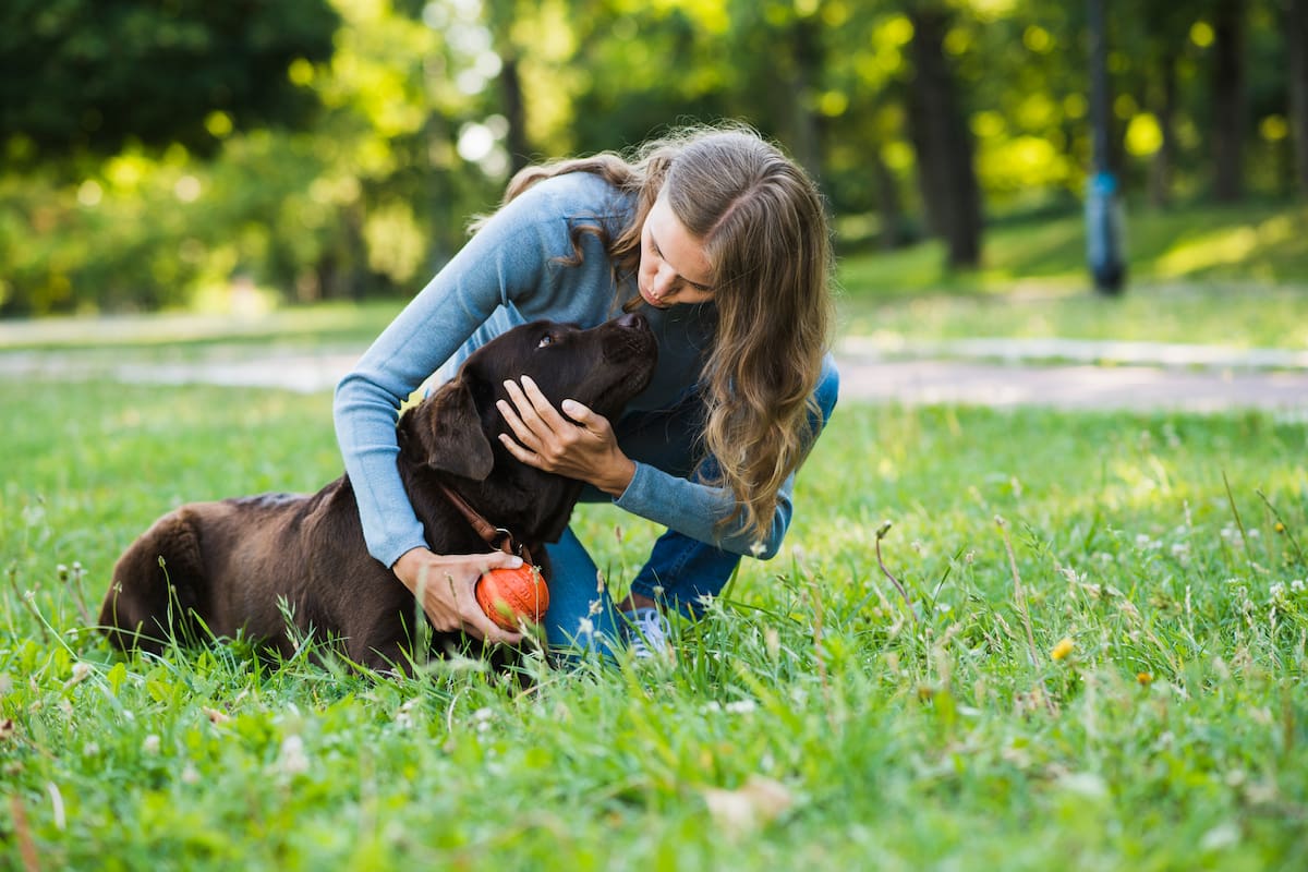 Los perros suelen expresar su amor a través del contacto físico