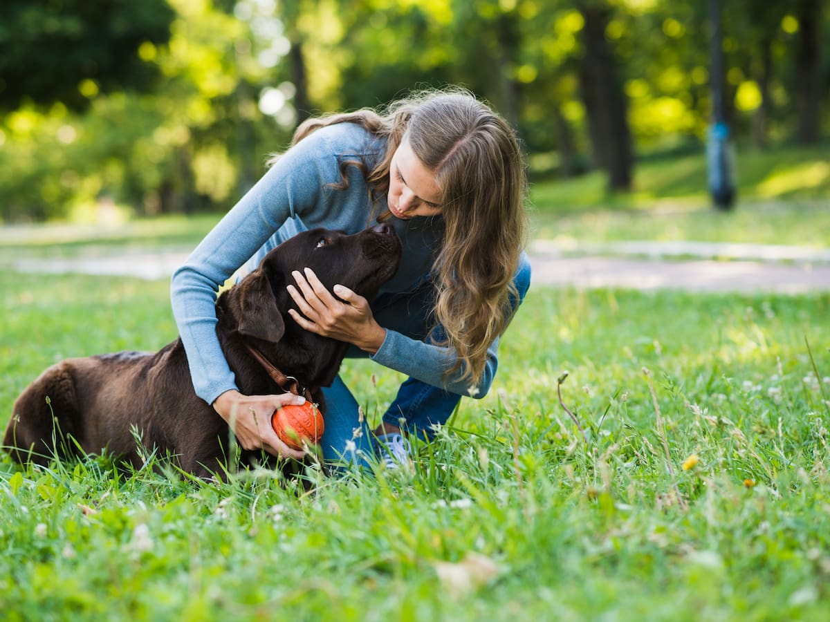 Los veterinarios coinciden: el amor de un perro no se mide por cuánto interactúa con su dueño, sino por un llamativo detalle