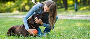 Veterinarios coinciden: el amor de un perro no se mide por cuánto interactúa con su dueño, sino por un llamativo detalle