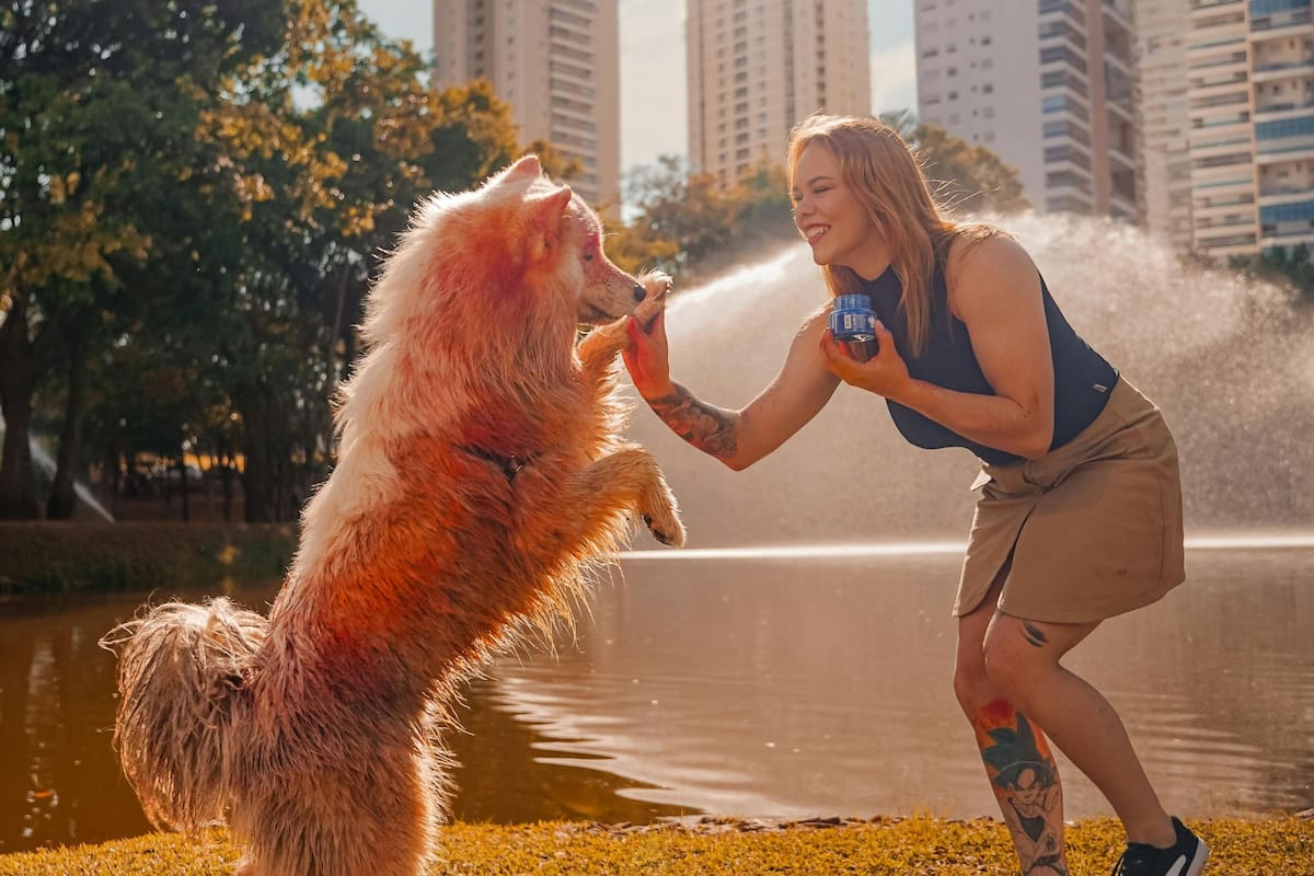 Los perros suelen ser más receptivos cuando se los trata con cariño (imagen ilustrativa)