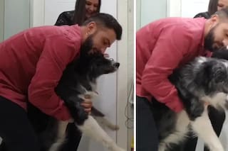La forma que encontraron dos hermanos para evitar que su perro sufra con la pirotecnia