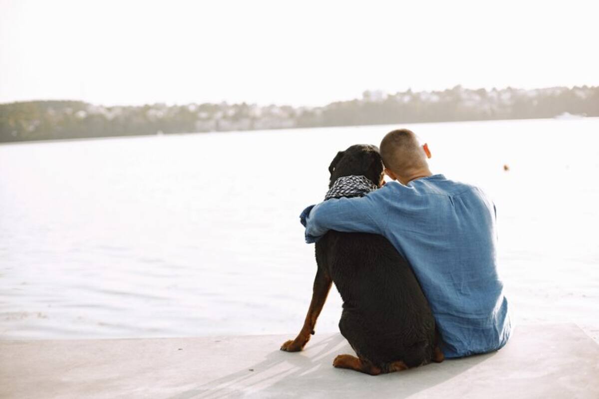 Los perros tienden a desarrollar lazos muy fuertes con sus dueños y los cambios pueden afectar su salud mental