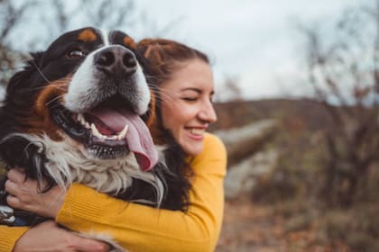 Los perros tienen cerebro más pequeño que los gatos