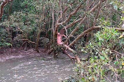 Los pescadores encontraron al fugitivo mientras colocaban trampas para cangrejos