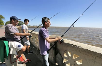 Los pescadores llegan desde lejos en busca de dorados y bogas