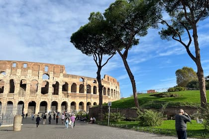 Los pinus pinea, emblema de la ciudad, que llegaron de la mano de los etruscos, custodian los principales atractivos, como el Coliseo