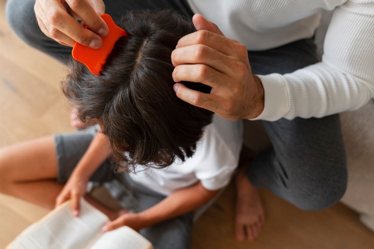 Los piojos suelen convertirse en protagonistas de los sueños