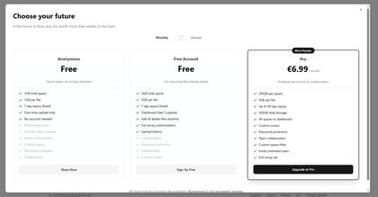 Los planes posibles de Boomerang, el servicio de transferencia de archivos creado por uno de los fundadores de WeTransfer