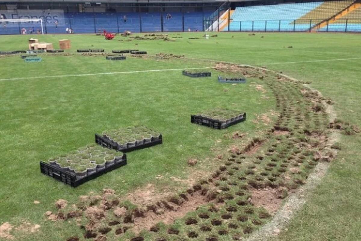 Los plantines de césped que Boca le vendió a sus hinchas en diciembre de 2014