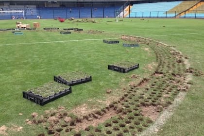 Los plantines de césped que Boca le vendió a sus hinchas en diciembre de 2014