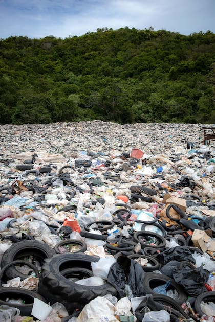 Los plásticos, un problema global: su impacto, causas y soluciones. Naciones Unidas y regulaciones locales abordan la crisis.