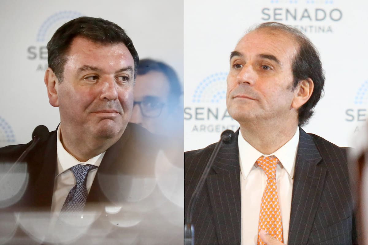 Los pliegos de Ariel Lijo y Manuel García-Mansilla cayeron esta tarde noche