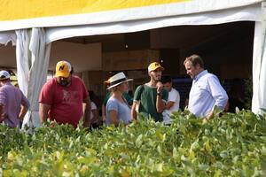 Los plots, lugar de encuentro para descubrir productos y tecnologías. Foto Expoagro