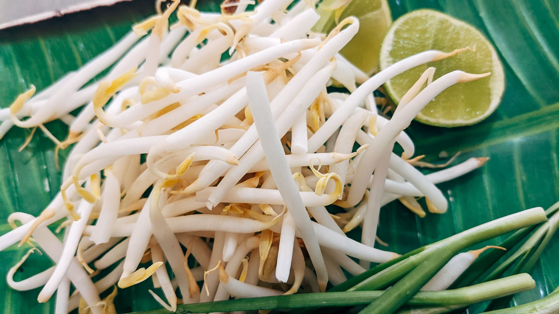 Los populares brotes de soja, ideales para ensaladas, salteados al wok o tortillas