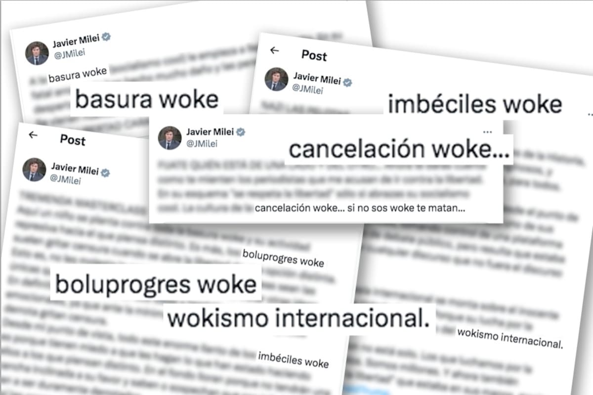 Los posteos de Javier Milei sobre el fenómeno woke