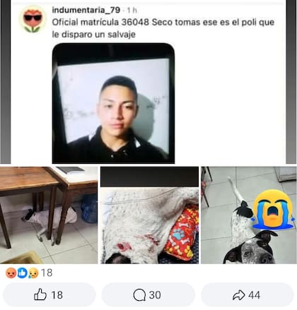 Los posteos por el hecho en el que un policía mató de un tiro a una perra callejera en una comisaría de Floresta